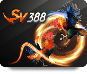 Discover How Huc99 Cashback Enhances Your Online Gaming Experience